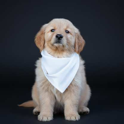 Foulard pour chien – Blank sublimation 24 po