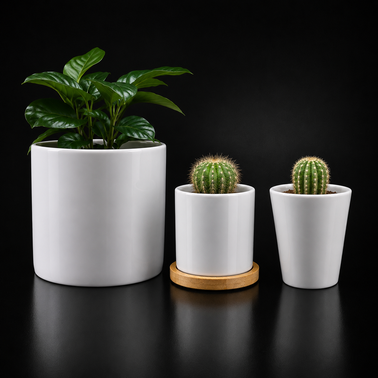 Trio des Indécis — 3 Pots de Fleurs Céramique Sublimation