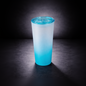 Bouteille givrée 25oz – Couvercle plastique