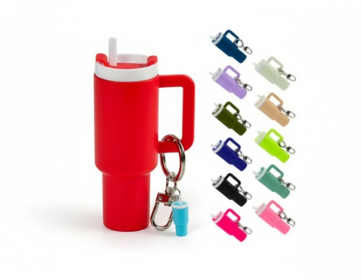 ENSEMBLE DE 12 Porte-clé 40oz et LEURS uv